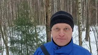 Снятие. Читаем Гегеля вместе 4.
