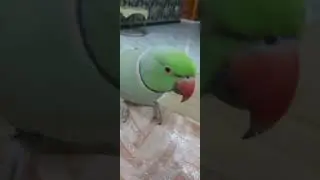 eating time| food | enjoying food