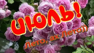 ЛЕТО АХ ЛЕТО✔Я так хочу, чтобы ЛЕТО не кончалось🎶Музыкальная открытка