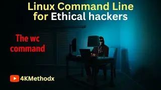 The wc Command: Count Lines, Words, and Characters in Files #26
