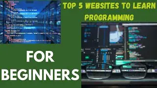 Top 5 Free Coding Websites for Beginners|Free Programming Sites to Start Coding