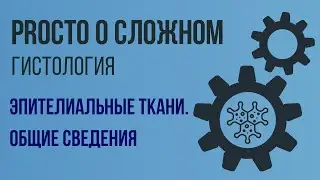 PROСТО О СЛОЖНОМ. Эпителиальные ткани, общие сведения. Гистология №1