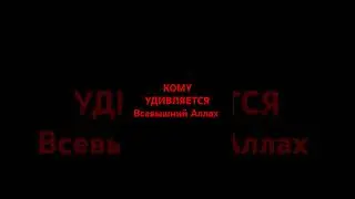 Кому удивляется Всевышний Аллах #хадис #религия #истина #islam