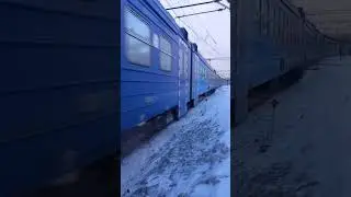 "Синий рэкс!" Электропоезд ЭД4М-0399 на обычном рейсе. #railway #shorts