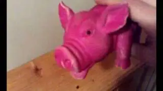 porcul roz