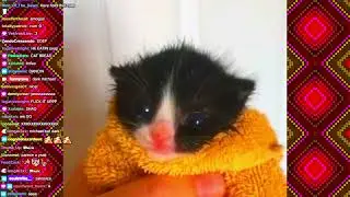 🔥soulstrike🔥 @ FUNNY RAVE: SWEET BABY RAVES