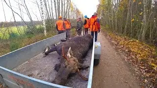 Охота 