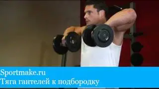 Тяга гантелей к подбородку