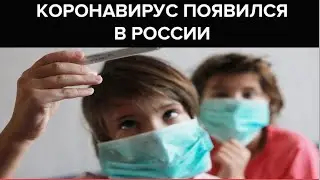 Короновирус в России.