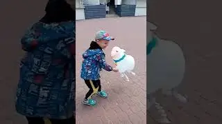 Набережная Феодосии 15 мая 2022 года