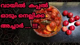 ലൂബിക്ക അച്ചാർ /ശീമനെല്ലിക്ക /ലോലോലിക്ക /loobikka achar /Red Nellikka pickle... Hot Food By Saju
