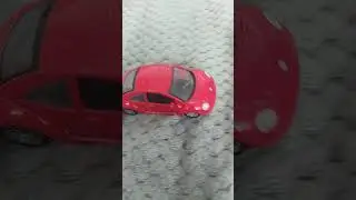 мой хомяк стёпа 🐹🐹