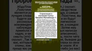 Стремление к изучению Сунны Пророка Мухаммада ﷺ.