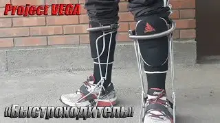 Project VEGA 