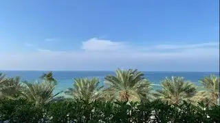 LIVE CAMERA📍OCCIDENTAL SHARJAH GRAND HOTEL ВИД ИЗ НОМЕРА