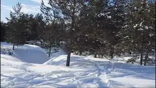 Покатушки 24.02.24. Любимые овраги (1).