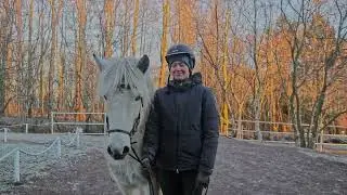 Golden Circle, Fridheimar Farm & Kerid Volcano Crater Premium Tour