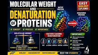 #biology #science #nucleic #proteins #trending #viral #molecular weight and denaturation of protein