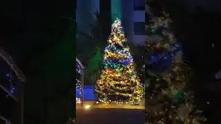🎄Ёлки в Паттайе (Тайланд)🌴 С Рождеством🙏✨
