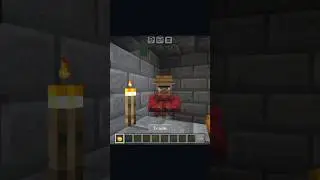 Villager OiOi Minecraft Memes #minecraft #shorts  #ytshorts #viral  #oioioi