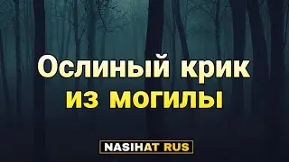ОСЛИНЫЙ КРИК ИЗ МОГИЛЫ