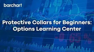 Protective Collars for Beginners: Options Learning Center
