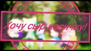 Хочу сыр косичку|meme