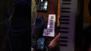 Sega Genesis Cyborg Justice Rave 3 - Model D , Strymon NightSky