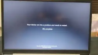 (REQUESTED) I Like Your Cut G Has BSOD