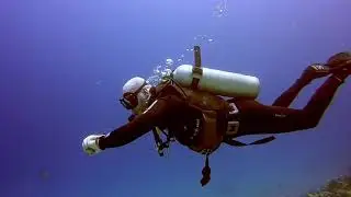 2021 04 19 dahab eel garden dive1