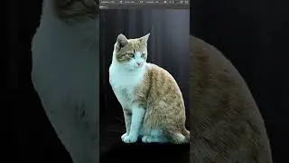 Manipulação de imagens