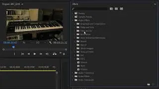 Dynamic Processing Premiere Pro (Adobe Creative Cloud 2021) EQ & Compression