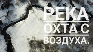 Река Охта. Прогулка с лайкой. Кадры с воздуха.