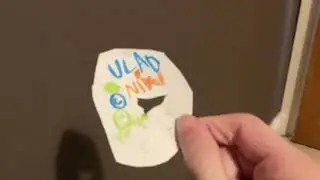 Destroying A Vlad And Niki DVD