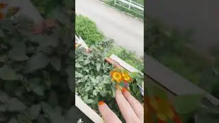 Это кто💐?