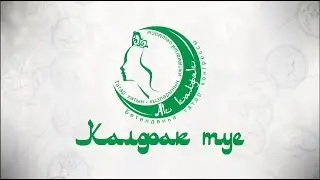 Калфак туе 2023 