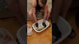 Тимурчик в трусилях чистит улов🤣🐟🐠