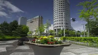 幕張メッセ周辺の新緑　The fresh greenery around Makuhari Messe