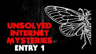 Unsolved Internet Mysteries [Entry 1]