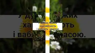 жменя добра