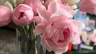 Новые пионы в моей коллекции / нежнятина / что есть в моей школе ????