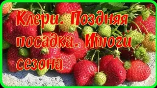 Клери.Итоги сезона 2020. Декабрьская посадка.