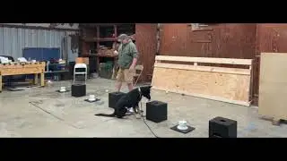 Preventing box crushing in scentwork while building duration.