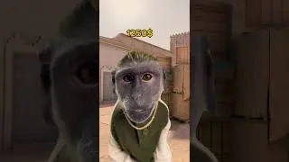 Typical eco round on Dune 