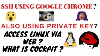 SSH using Chrome and access Linux via web page using cockpit, one video to manage Linux easily  😎 😲