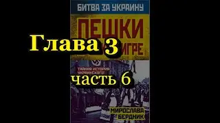 Мирослава Бердник. Пешки в чужой игре. Глава 3, часть 6. Очаг пожара в украинских районах...
