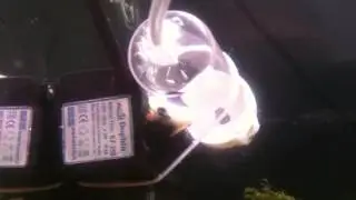 vortex difüzör