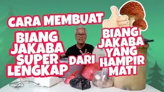 Cara Membuat Biang Jakaba Super Lengkap Dari Biang Jakaba Yang Hampir Mati