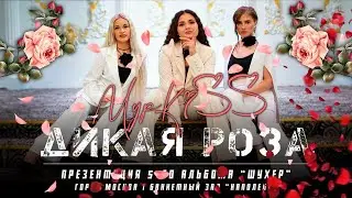 Дикая роза