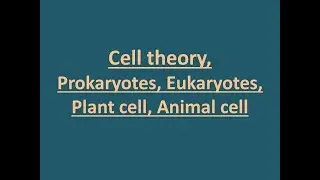 Cell biology, cell theory, prokaryotic & eukaryotic cells #celltheory #cellbiology #roberthooke
